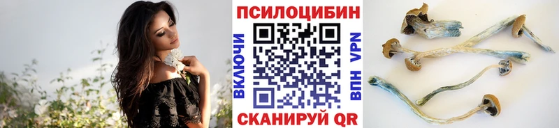мега как войти  Прокопьевск  Псилоцибиновые грибы прущие грибы 